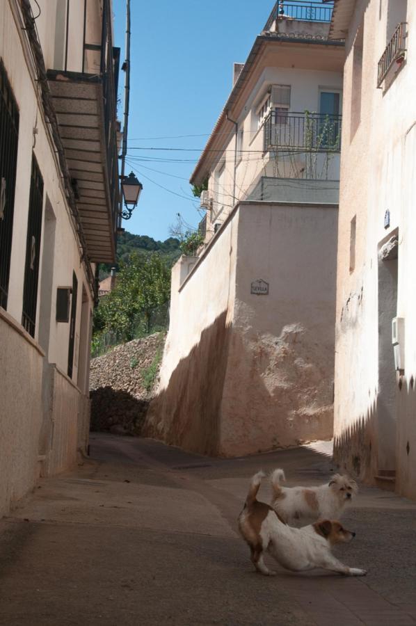 Casa Beatles Del Valle Pinos del Valle Buitenkant foto